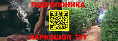 стафф Будённовск