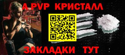 стафф Будённовск
